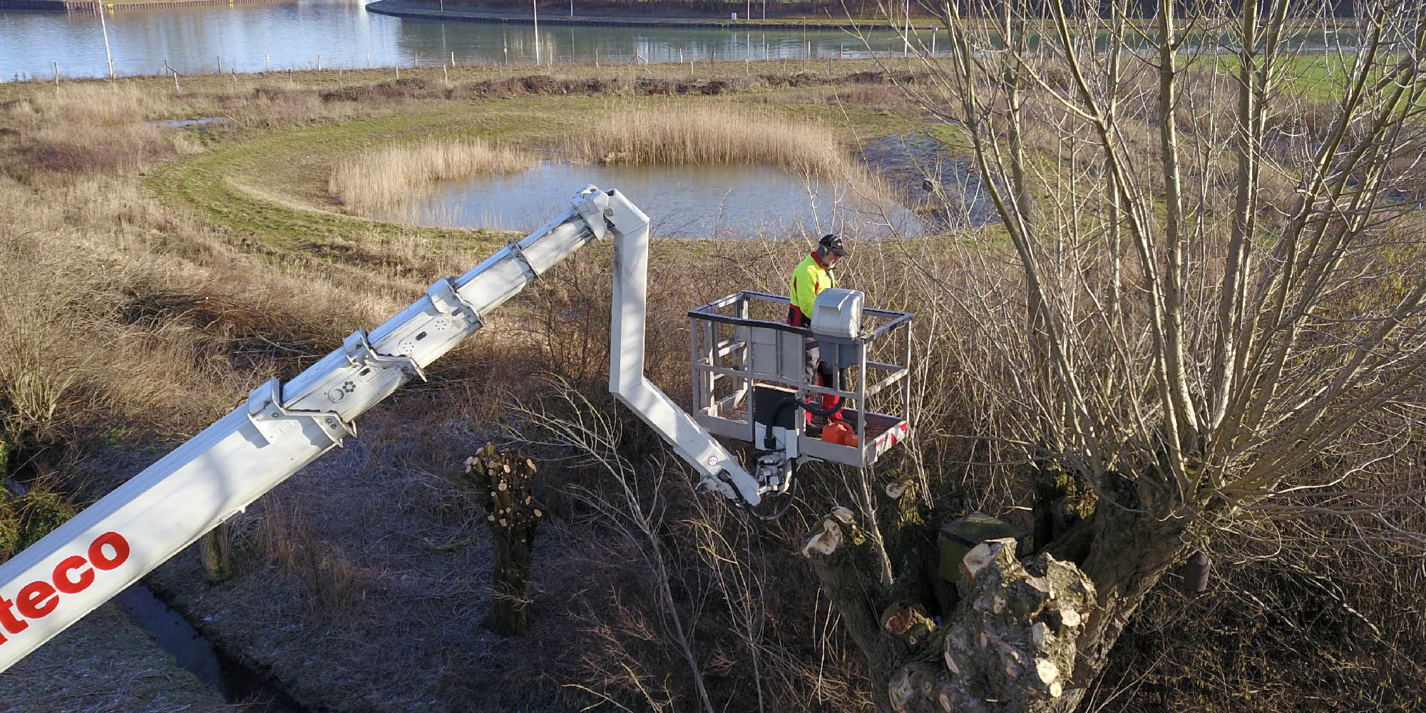 Kopfweidenpflege @ Luca Schikowski